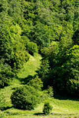 naturaleza pirineo francés 