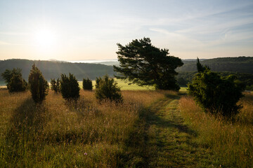 Fototapeta premium Summer landscape, Eifel close to Blankenheim, North Rhine Westphalia, Germany