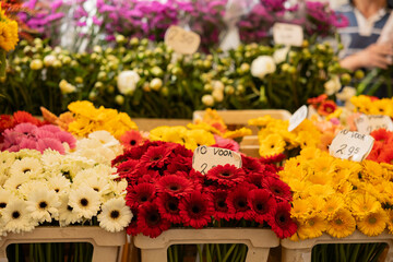 Flowers in white, red and yellow offered at the weekly market in Rotterdam.