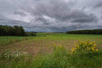 Eifel landscape, Rhineland-Palatinate, Germany
