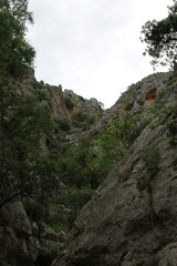 Parque Natural Sierras Subbeticas - Zuheros, Córdoba - 2024 - 10