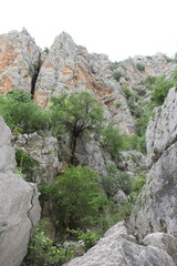 Parque Natural Sierras Subbeticas - Zuheros, Córdoba - 2024 - 6