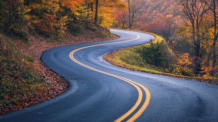 Naklejka premium Highway road through the autumn forest. Autumn forest road. Road in autumn forest. Autumn road way