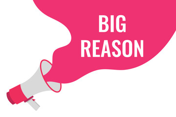 big reason button, banner, label, template for website. big reason text with colorful megaphone icon
