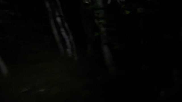 First person view of someone lost in the woods at night. They are walking through the forest using a flashlight to see. This video conveys concepts such as being lost, fear, and mystery.