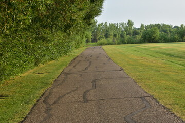A walking path in a park