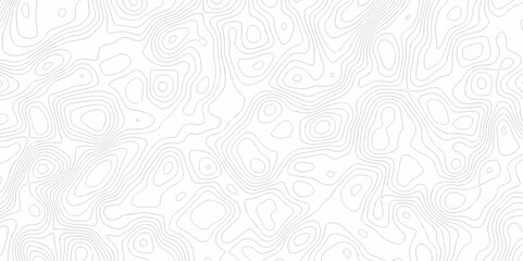 White wave grid stripe line map topography. vector geographic contour mounted map background.