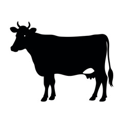 a Dairy Cow vector illustration