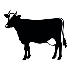 a Dairy Cow vector illustration
