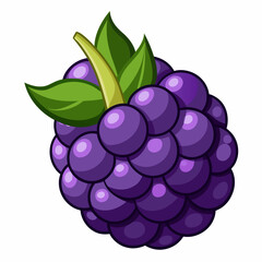 A Single Purple Blackberry with Green Leaves