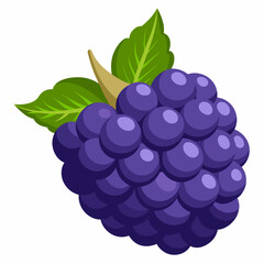 A single blackberry with green leaves