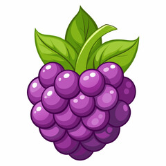 A Cartoon Illustration of a Single Blackberry with Green Leaves