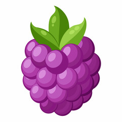 Single Purple Blackberry with Green Leaves