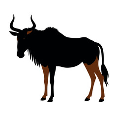 a Wildebeest vector art illustration
