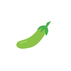 green eggplant vector illustration