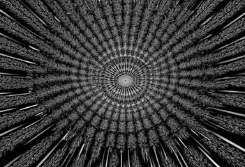 black and white spiral pattern with concentric circles and radiating lines, creating sense depth and movement.