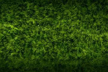 Grass Texture Background background illustration