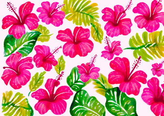 hibiscus flower pattern