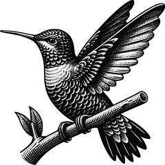 Black hummingbird logo clipart. Isolated tropical small flying bird. Monochrome minimalist bird logo.