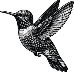 Black hummingbird logo clipart. Isolated tropical small flying bird. Monochrome minimalist bird logo.