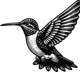 Black hummingbird logo clipart. Isolated tropical small flying bird. Monochrome minimalist bird logo.