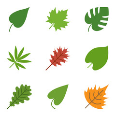 leaves icon set