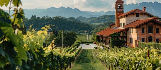 Vineyard House with Mountain View