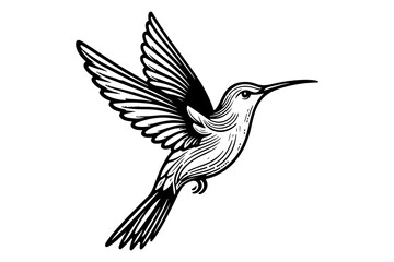 Obraz premium line art of a hummingbird silhouette vector art illustration isolated on transparent background - Generative AI