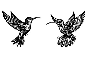 Obraz premium line art of a hummingbird set silhouette vector art illustration isolated on transparent background - Generative AI