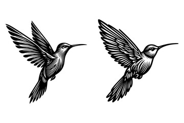 Obraz premium line art of a hummingbird set silhouette vector art illustration isolated on transparent background - Generative AI