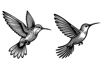Obraz premium line art of a hummingbird set silhouette vector art illustration isolated on transparent background - Generative AI
