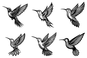 Obraz premium line art of a hummingbird set silhouette vector art illustration isolated on transparent background - Generative AI