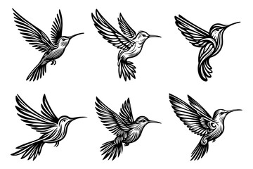 Fototapeta premium line art of a hummingbird set silhouette vector art illustration isolated on transparent background - Generative AI