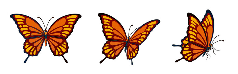 Fototapeta premium Butterfly illustration line work, tattoo design, transparent background