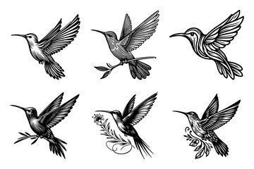 line art of a hummingbird set silhouette vector art illustration isolated on transparent background - Generative AI