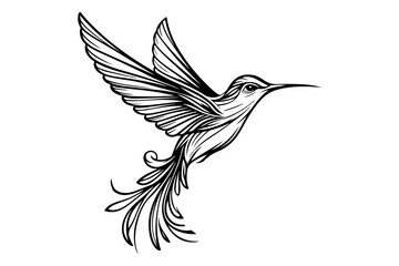 Obraz premium line art of a hummingbird silhouette vector art illustration isolated on transparent background - Generative AI