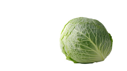 Fototapeta premium Cabbage isolated on a white background with full depth of field, sharp focus