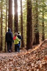 Obraz premium Mother and children visiting the redwood forest of Cabezon de la Sal,