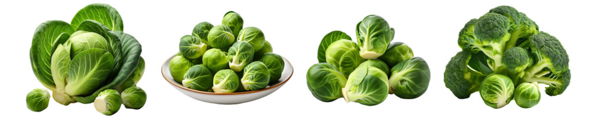 Fototapeta premium A collection of fresh Brussels sprouts cut out transparent isolated on white background PNG