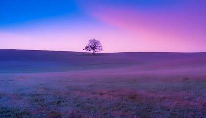 Purple Dawn in the Fields with a Single Tree