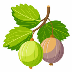 Gooseberries on a Branch with Green Leaves