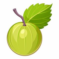 A Single Green Gooseberry with a Leaf