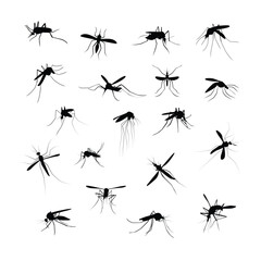 Mosquito silhouette set. Aedes aegypti icon. World mosquito day vector