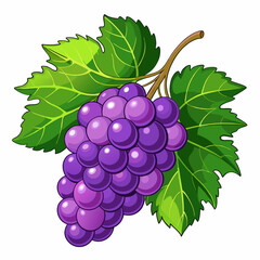Cartoon Illustration of Purple Grapes with Green Vine Leaves