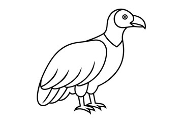 California Condor Silhouette Line Art - Clean Abstract Vector Face Illustration on White Background | Cute Cartoon Clipart Icon