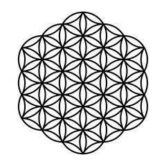 The  flower of life. Sacred geometry