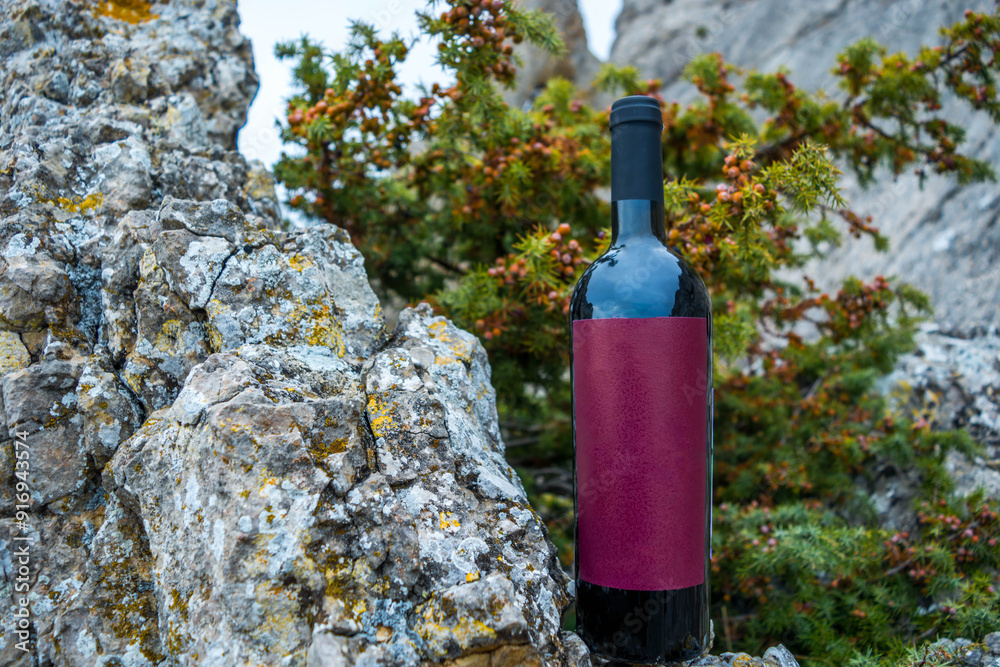 Wall mural Bottle of wine in nature