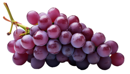 Fresh purple grapes on a transparent background