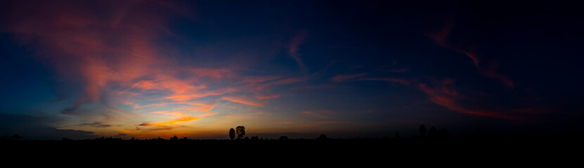 Panorama silhouette tree in africa with sunset.Tree silhouetted against a setting sun.Dark tree on open field dramatic sunrise.Typical african sunset with acacia trees in Masai Mara, Kenya © noon@photo