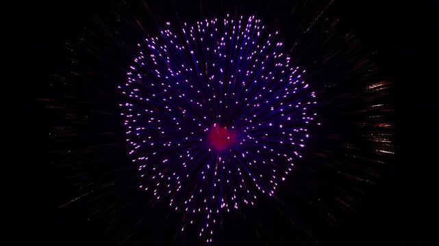 [納涼花火大会] いたばし花火大会（単玉）